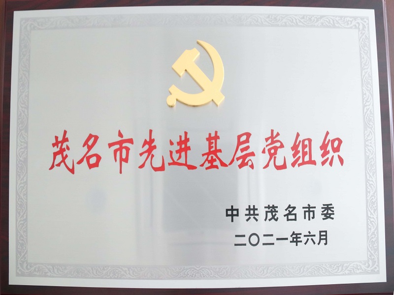 中共茂名市委關(guān)于表彰茂名市優(yōu)秀共產(chǎn)黨員、茂名市優(yōu)秀黨務(wù)工作者和茂名市先進(jìn)基層黨組織的決定（2021年6月） (2).jpg